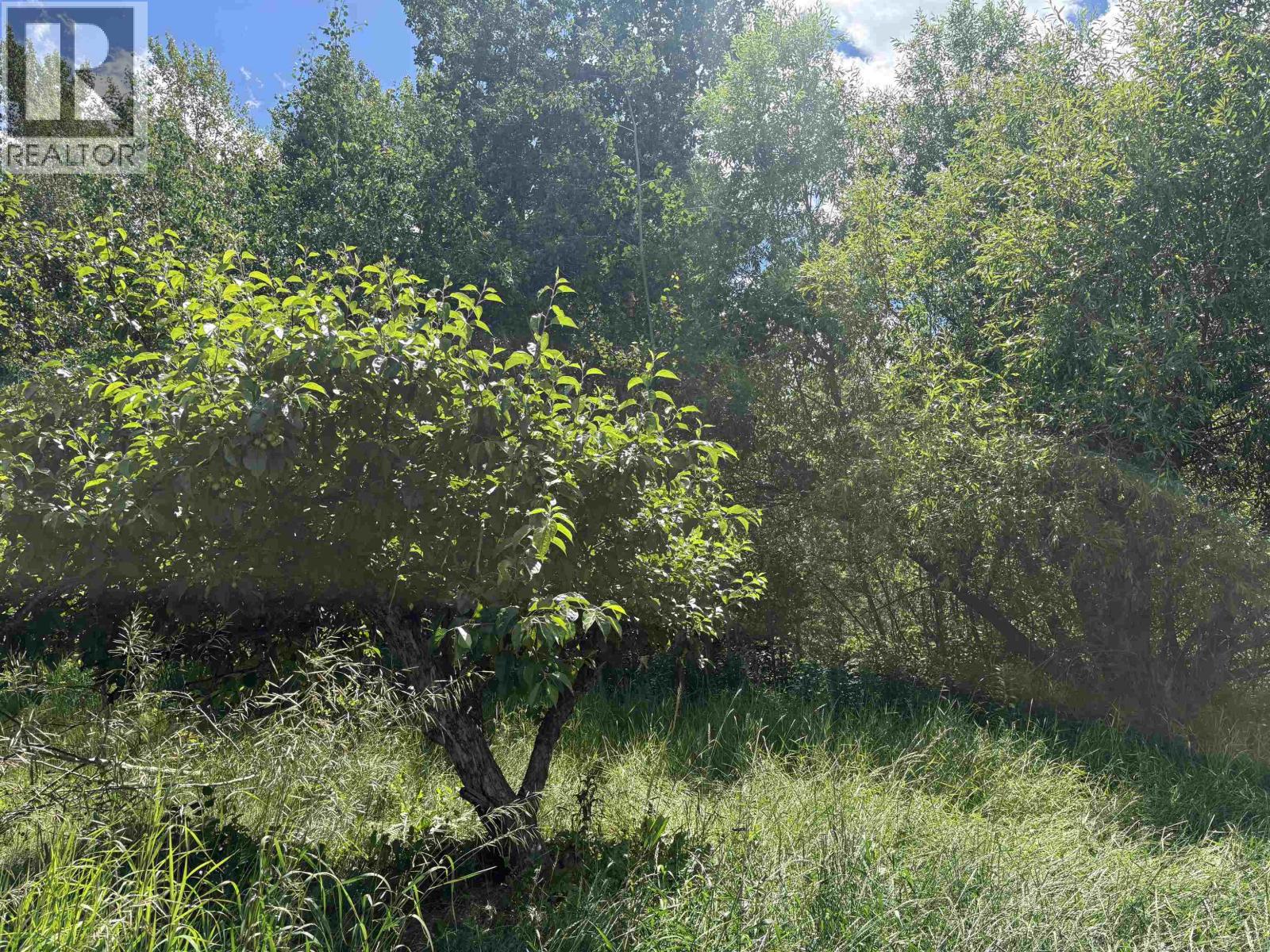5433 Erickson Street Property Photo 5