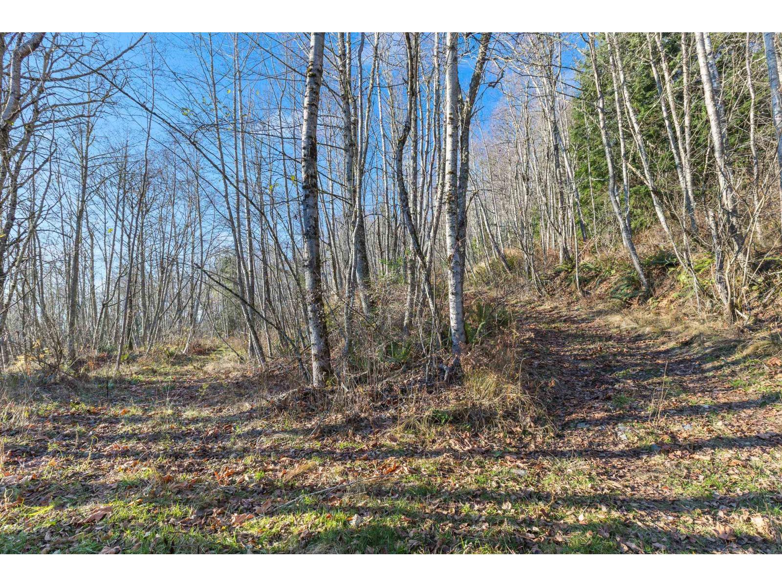 49780 Lookout Road Property Photo 38