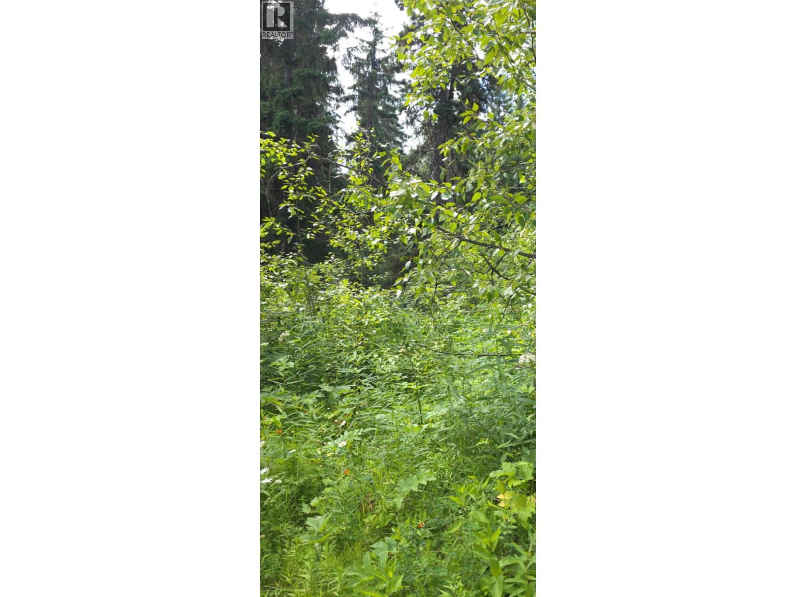 Lot 2 CHIEF LAKE PO ROAD
