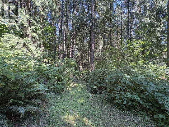 14202 Marc Road Property Photo 16