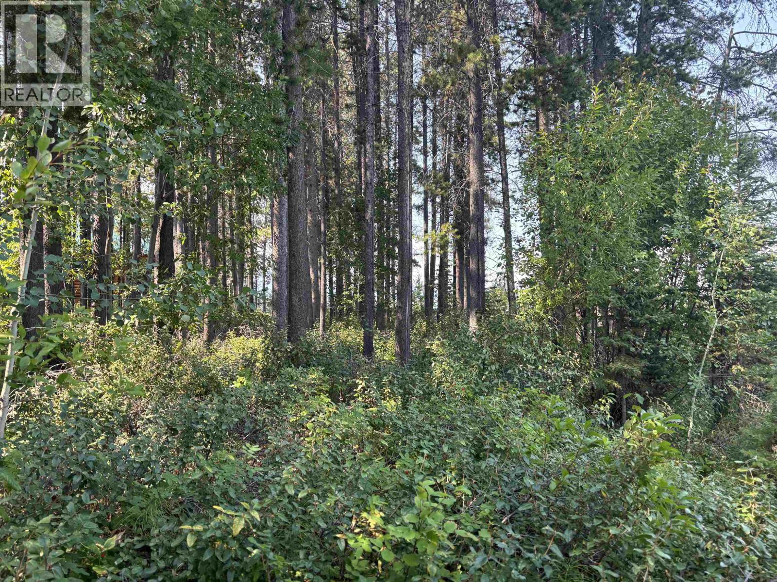 19559 Chilcotin 20 Highway Property Photo 4