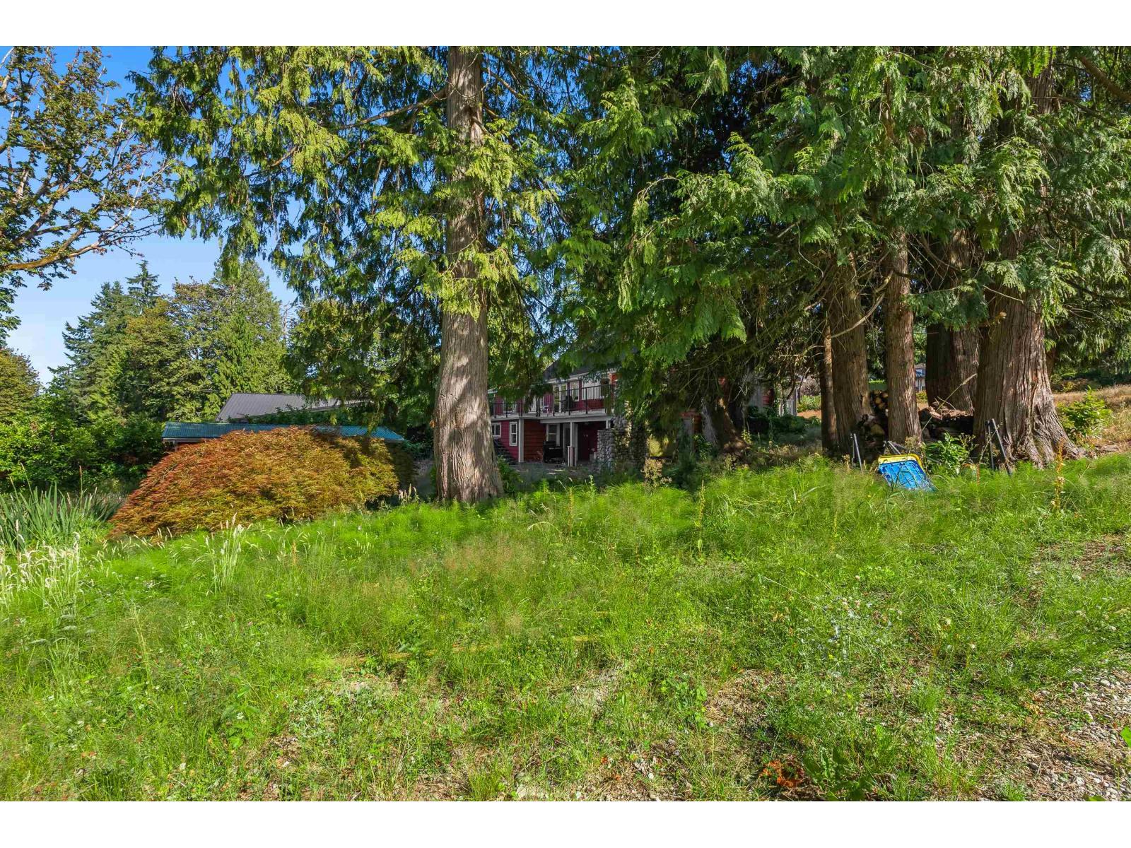 17311 Hillview Place Property Photo 33