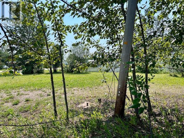 5331 42 Street Property Photo 5