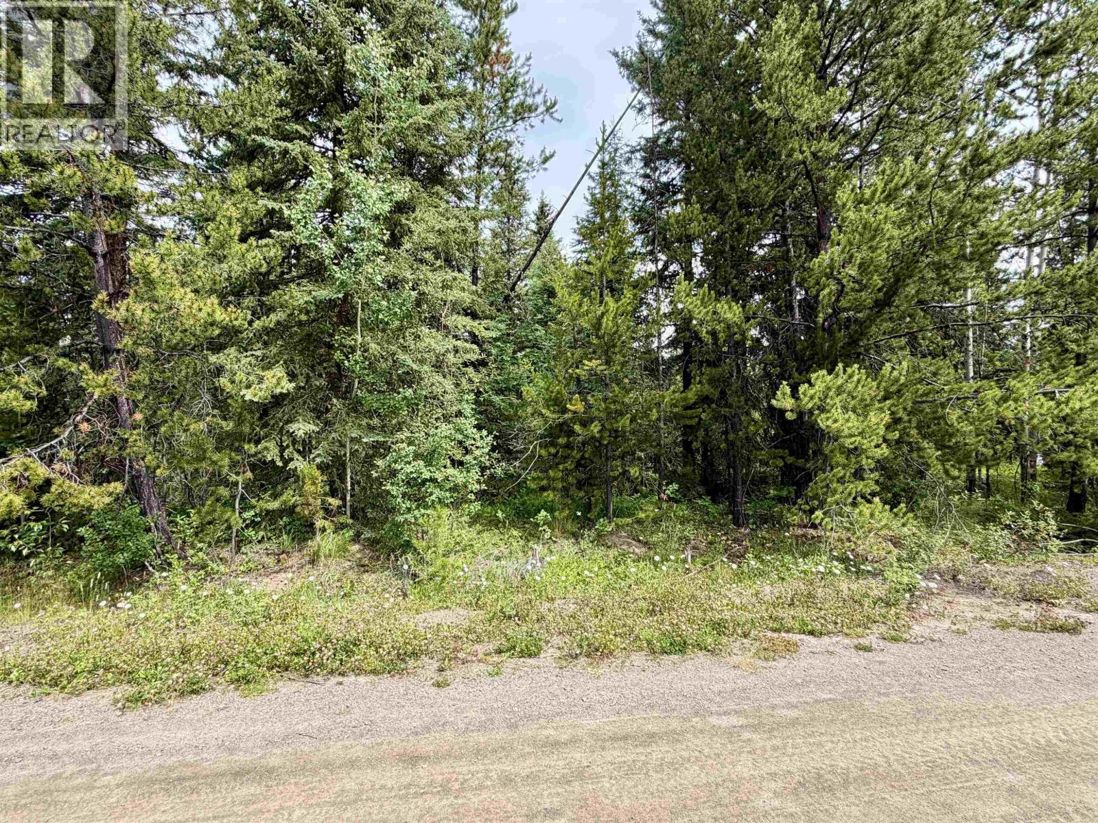 Lot 239 King Road Property Photo 2