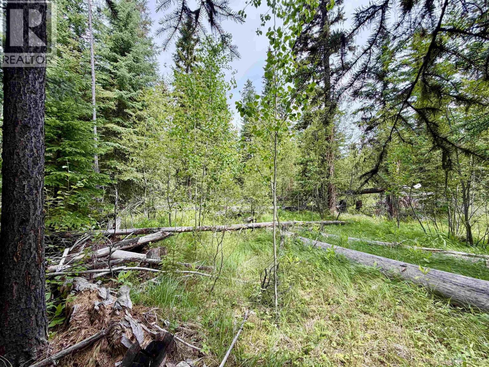 Lot 239 King Road Property Photo 4