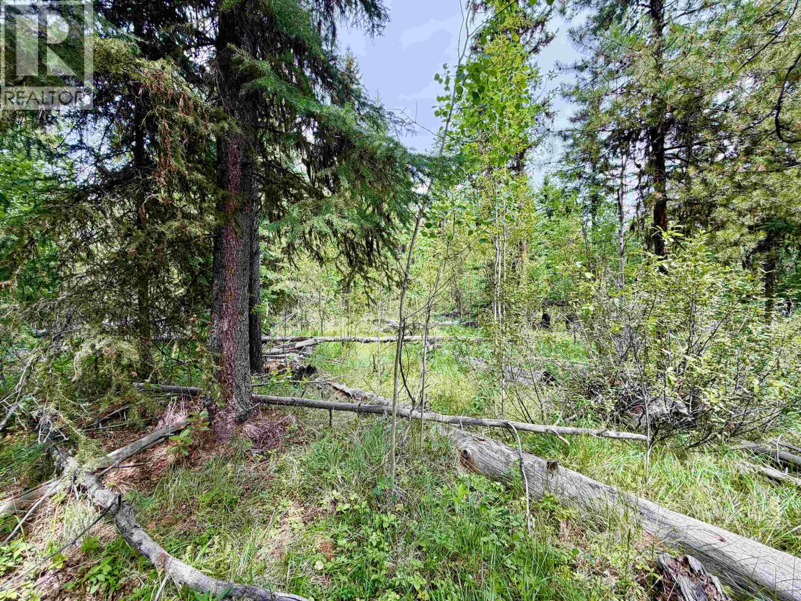 Lot 239 King Road Property Photo 14