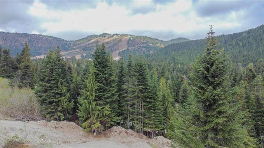 20488 Edelweiss Drive Property Photo 8