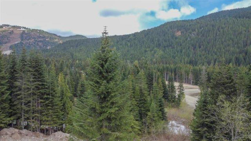 20488 Edelweiss Drive Property Photo 9