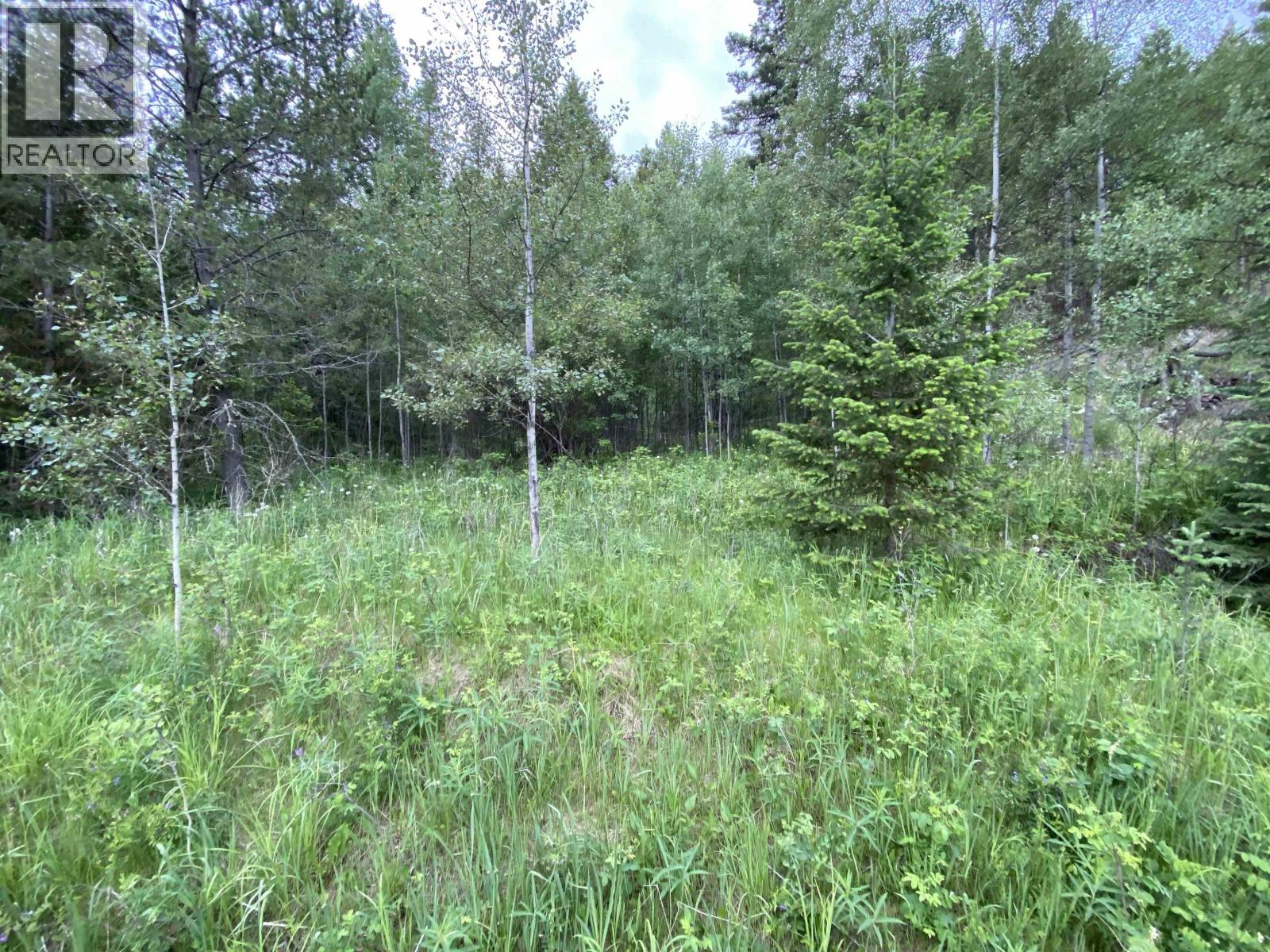 6050 Easzee Drive Property Photo 2