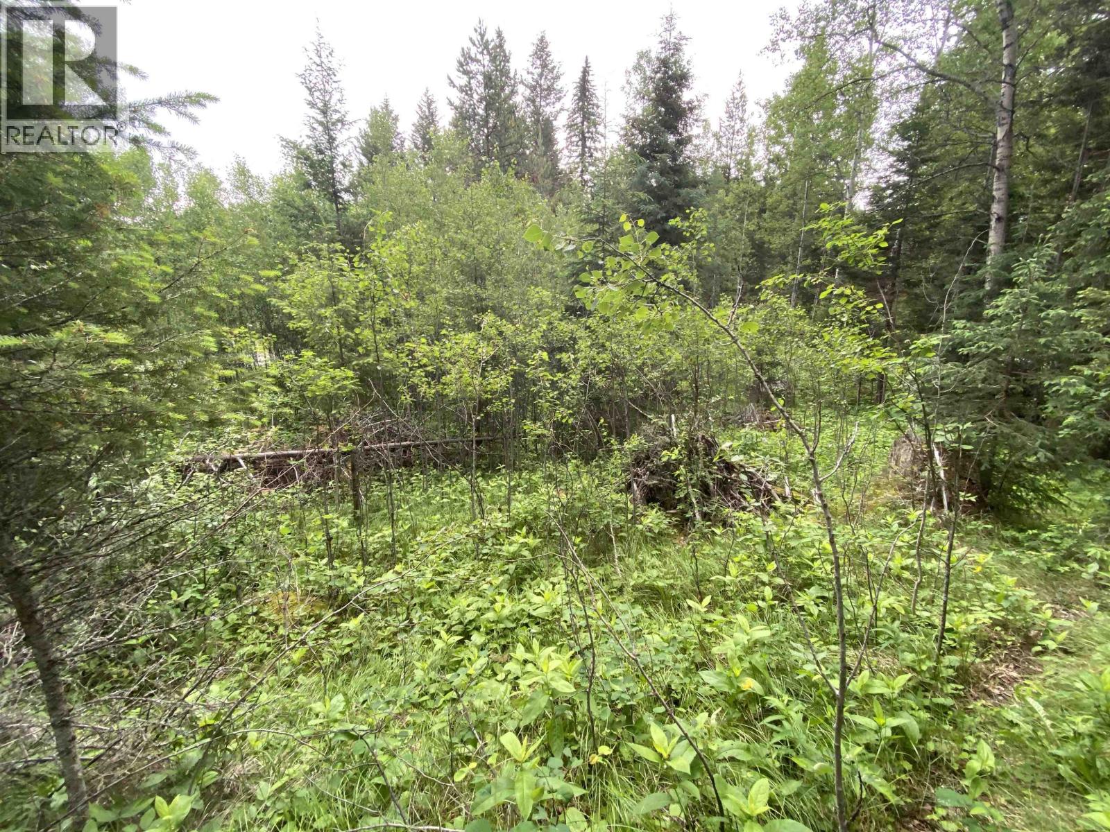 6050 Easzee Drive Property Photo 4