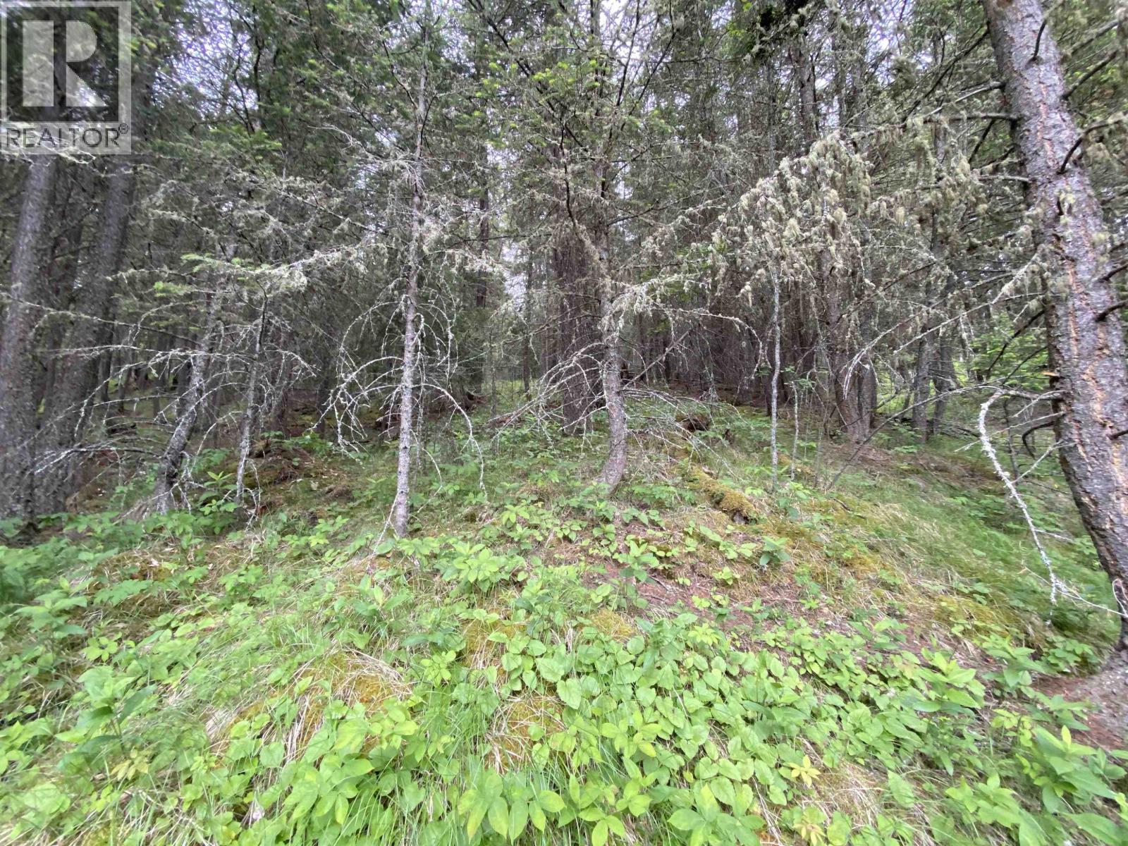 6050 Easzee Drive Property Photo 5