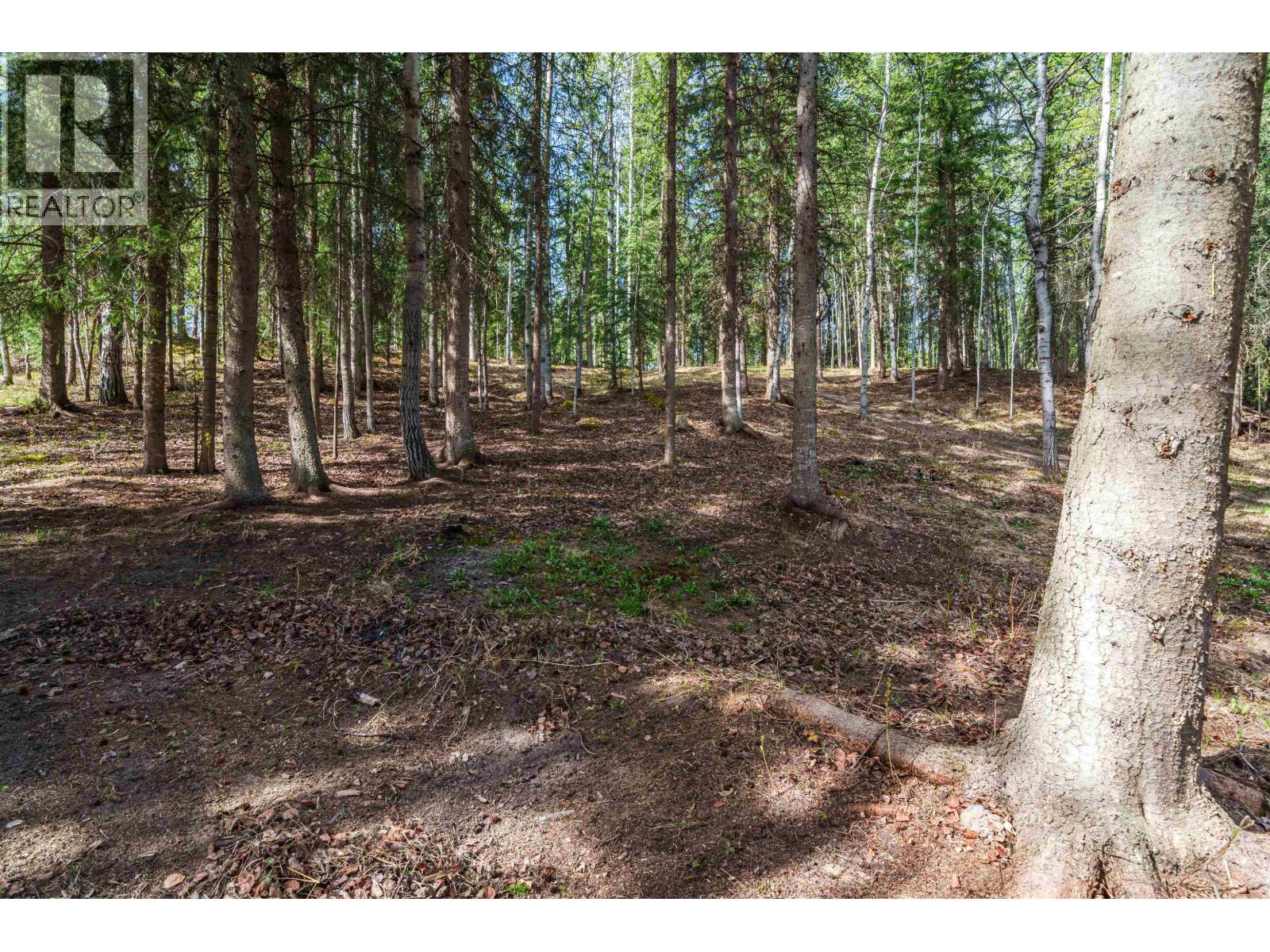 Lot 43 Wolfe Road Property Photo 9