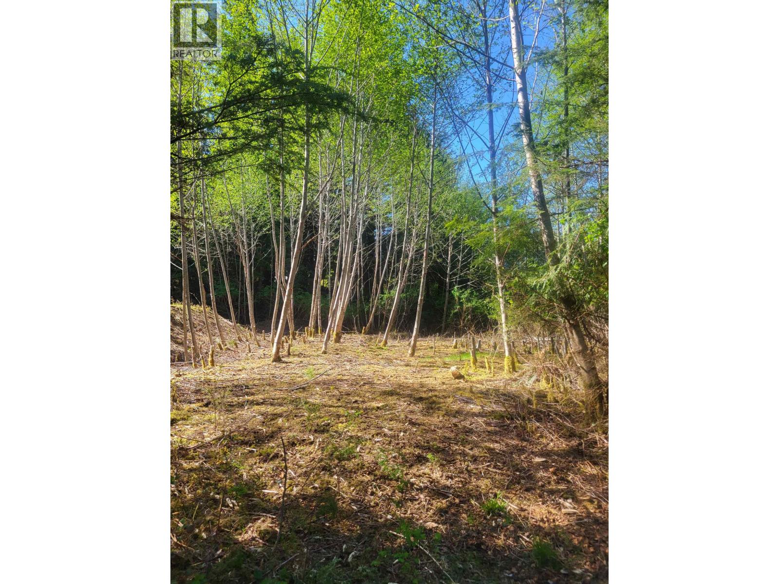 250 Bayview Drive Property Photo 5