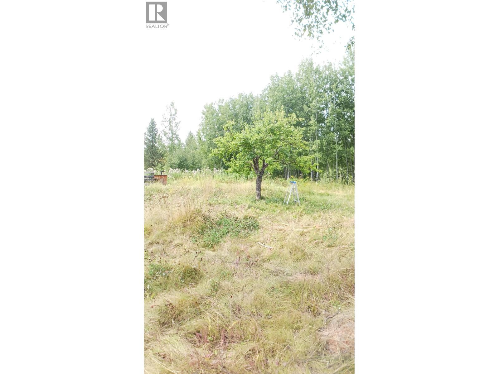 6515 Thorley Road Property Photo 22