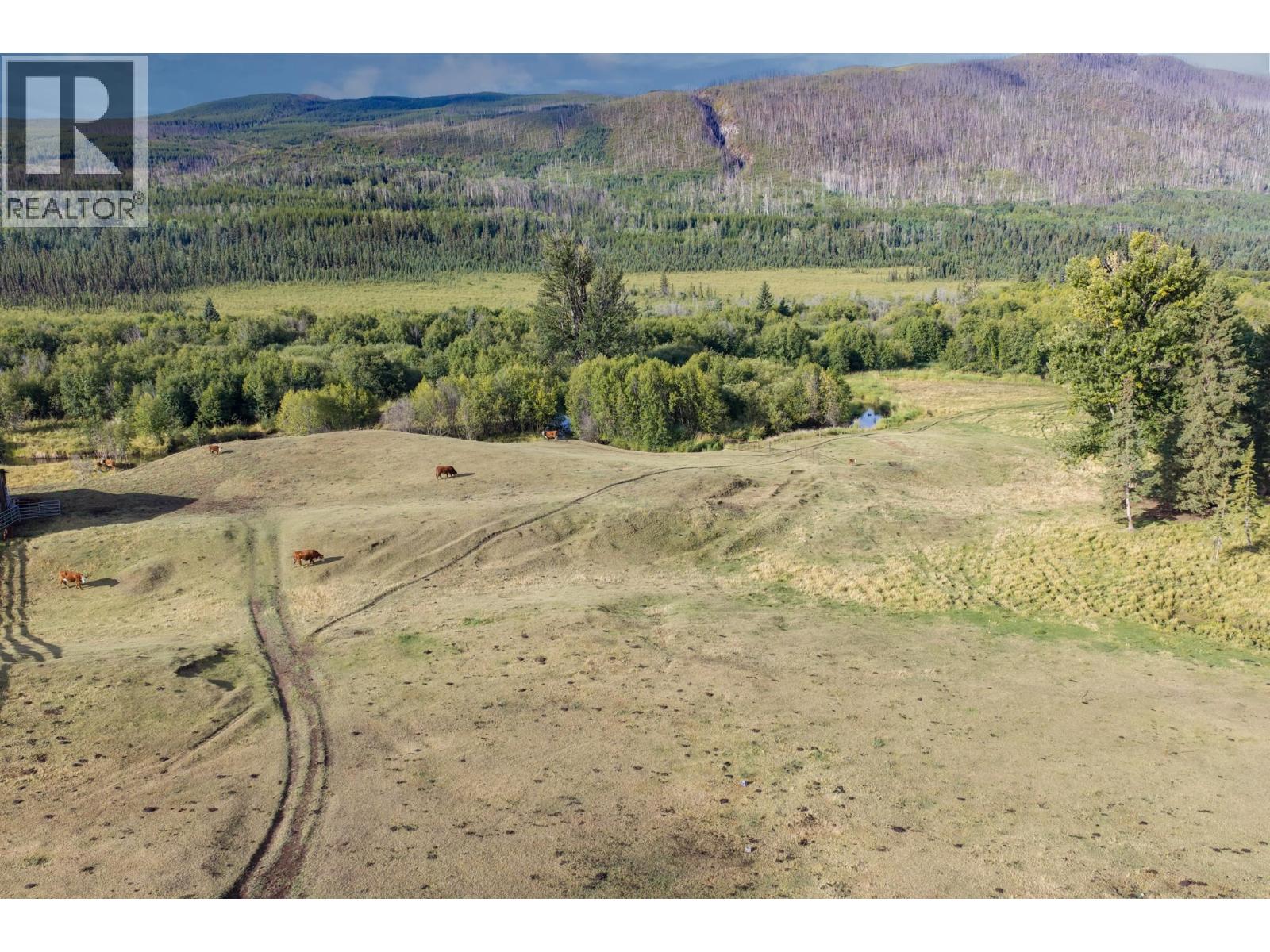 10443 Nithi Pit Road Property Photo 20