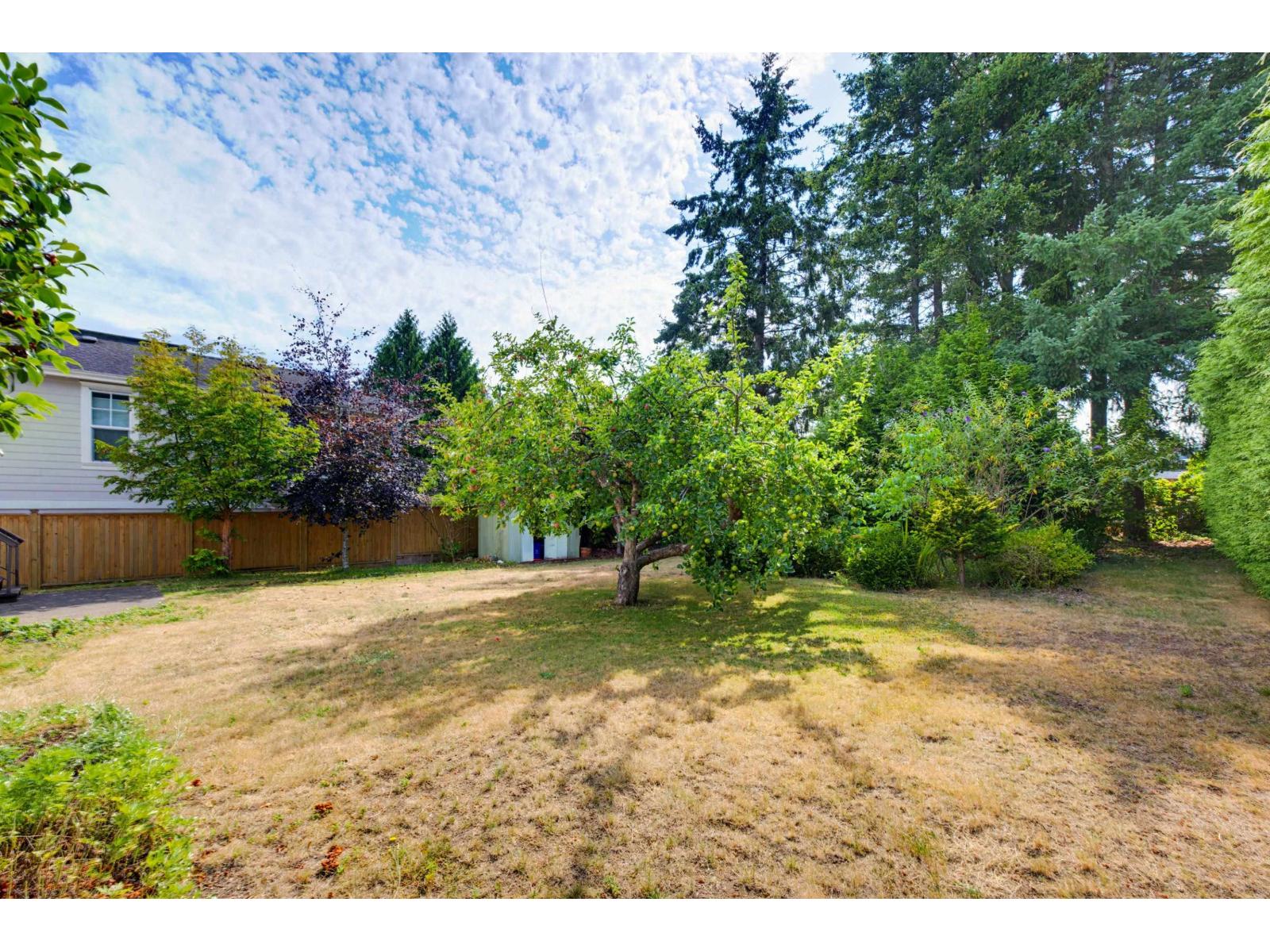 1175 Stevens Street Property Photo 37