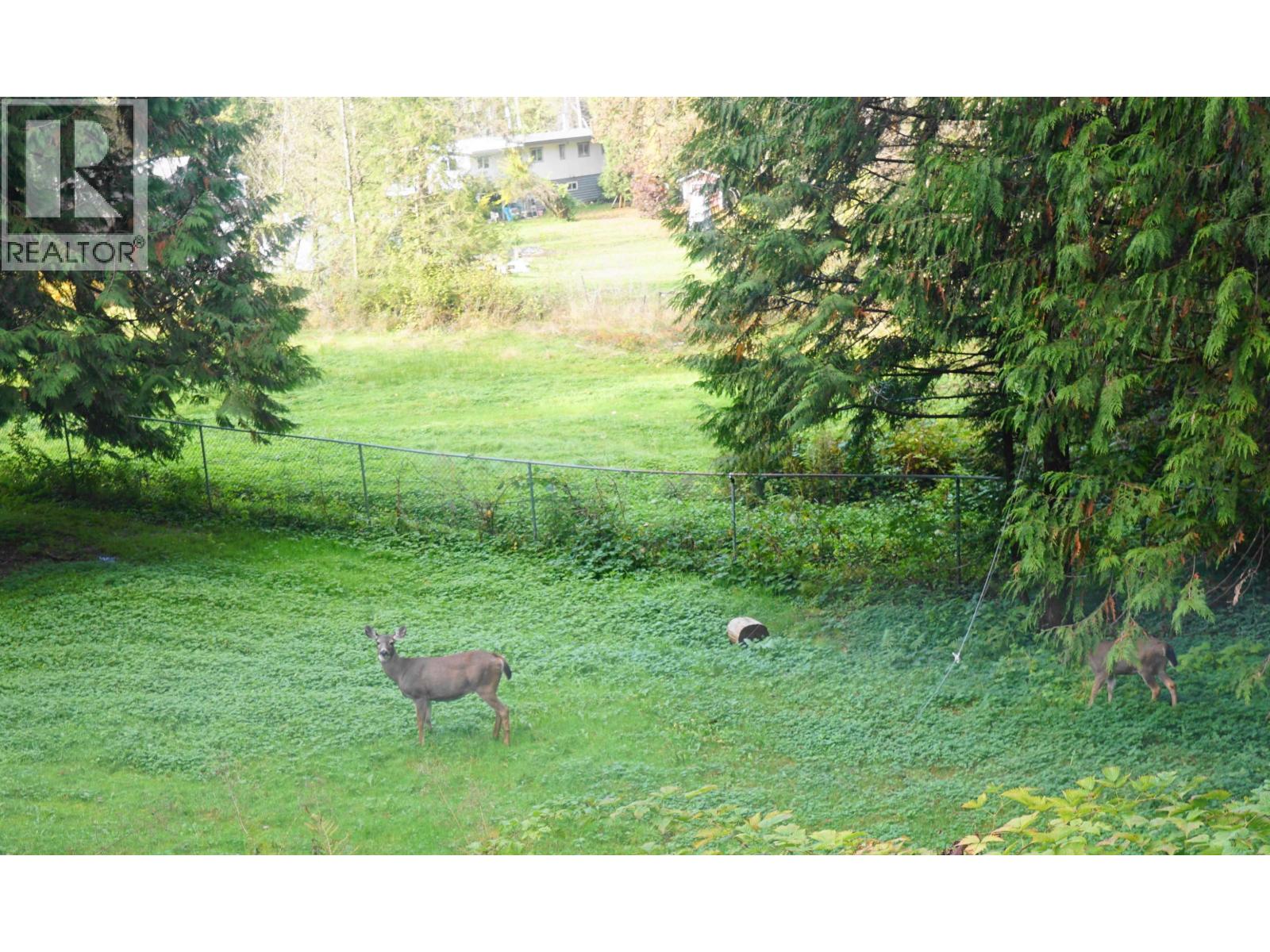 25855 112 Avenue Property Photo 24