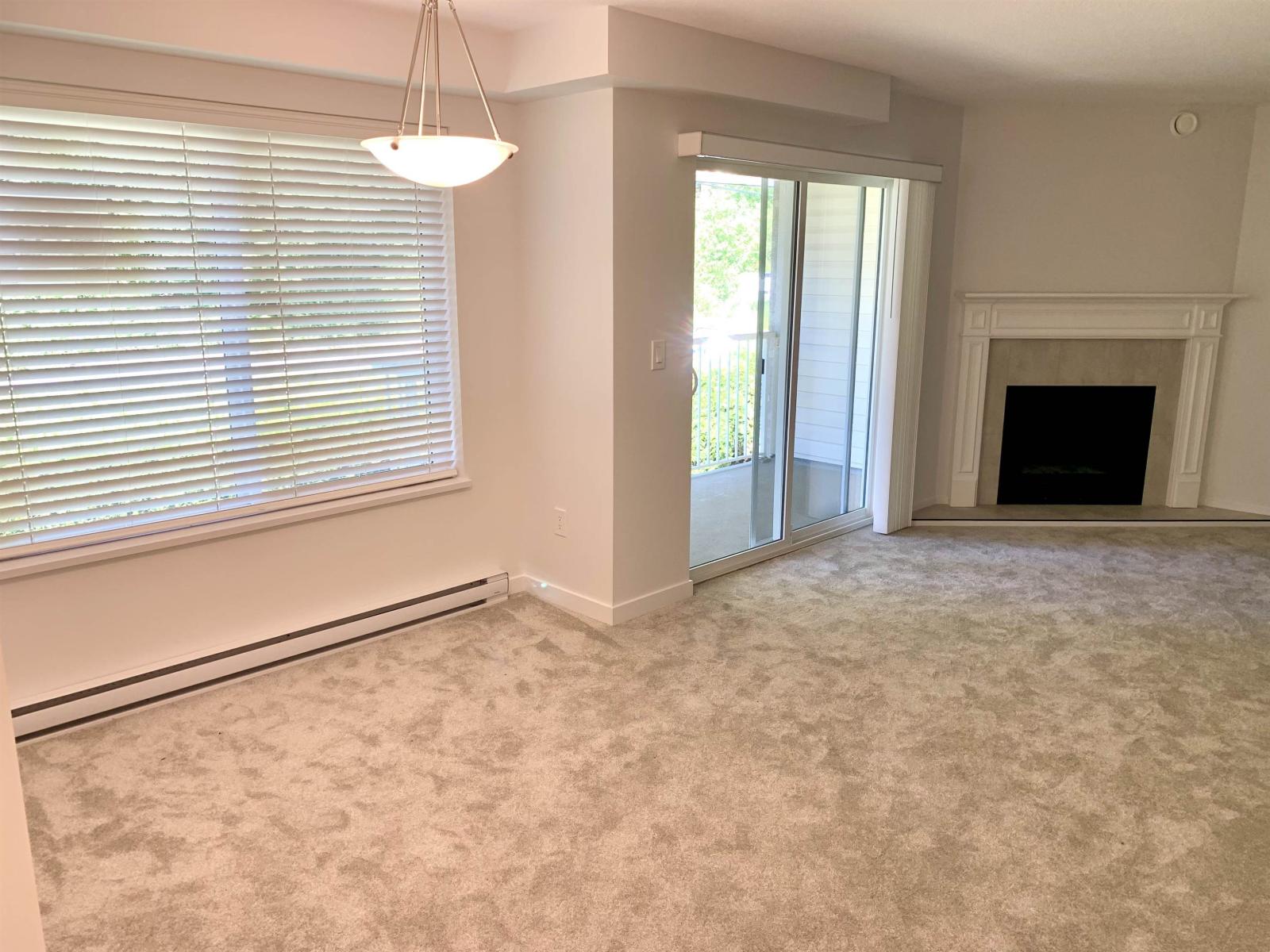 301 7265 Haig Street Property Photo 9