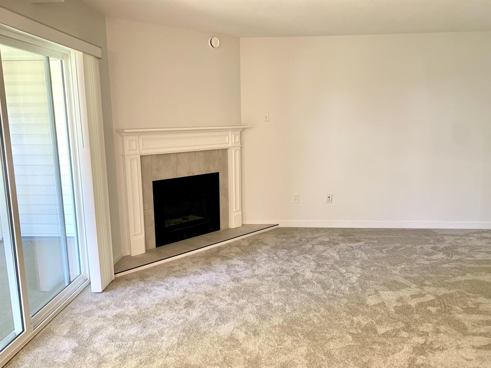 301 7265 Haig Street Property Photo 10
