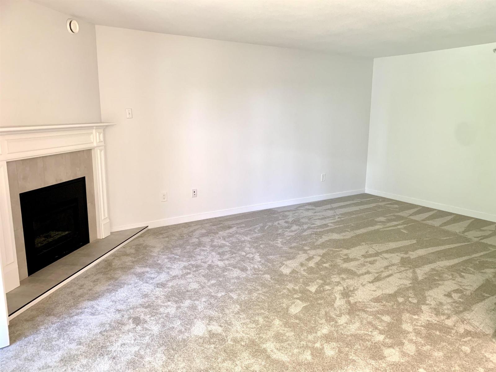 301 7265 Haig Street Property Photo 11
