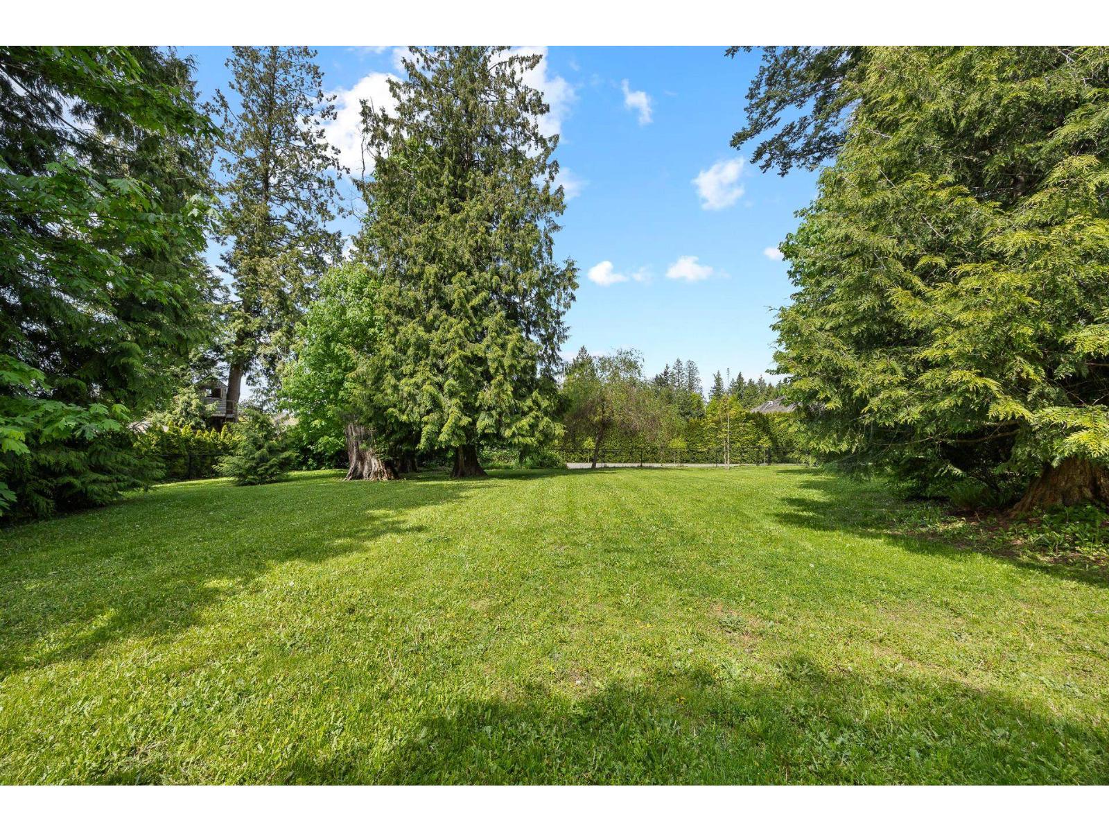 16211 29 Avenue Property Photo 36