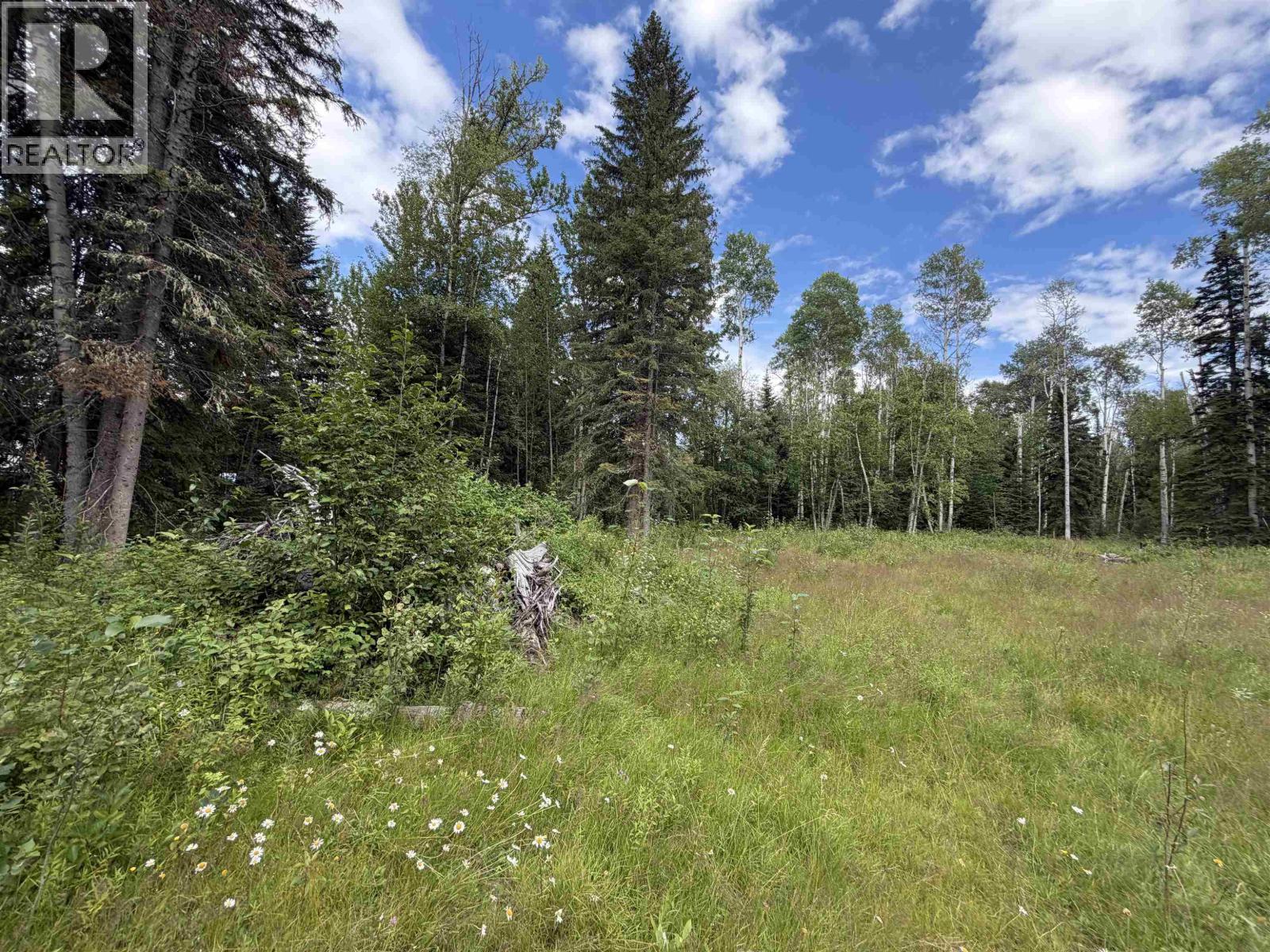 9628 Annegene Road Property Photo 3