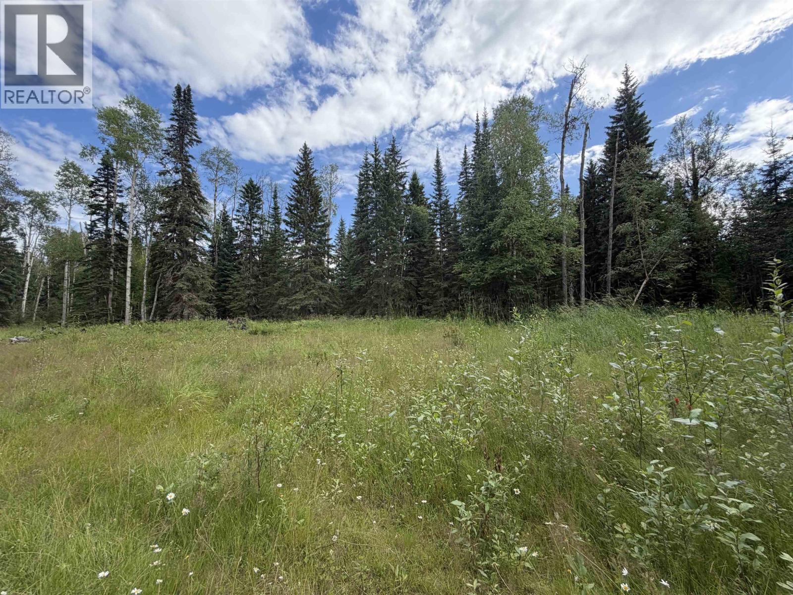 9628 Annegene Road Property Photo 4
