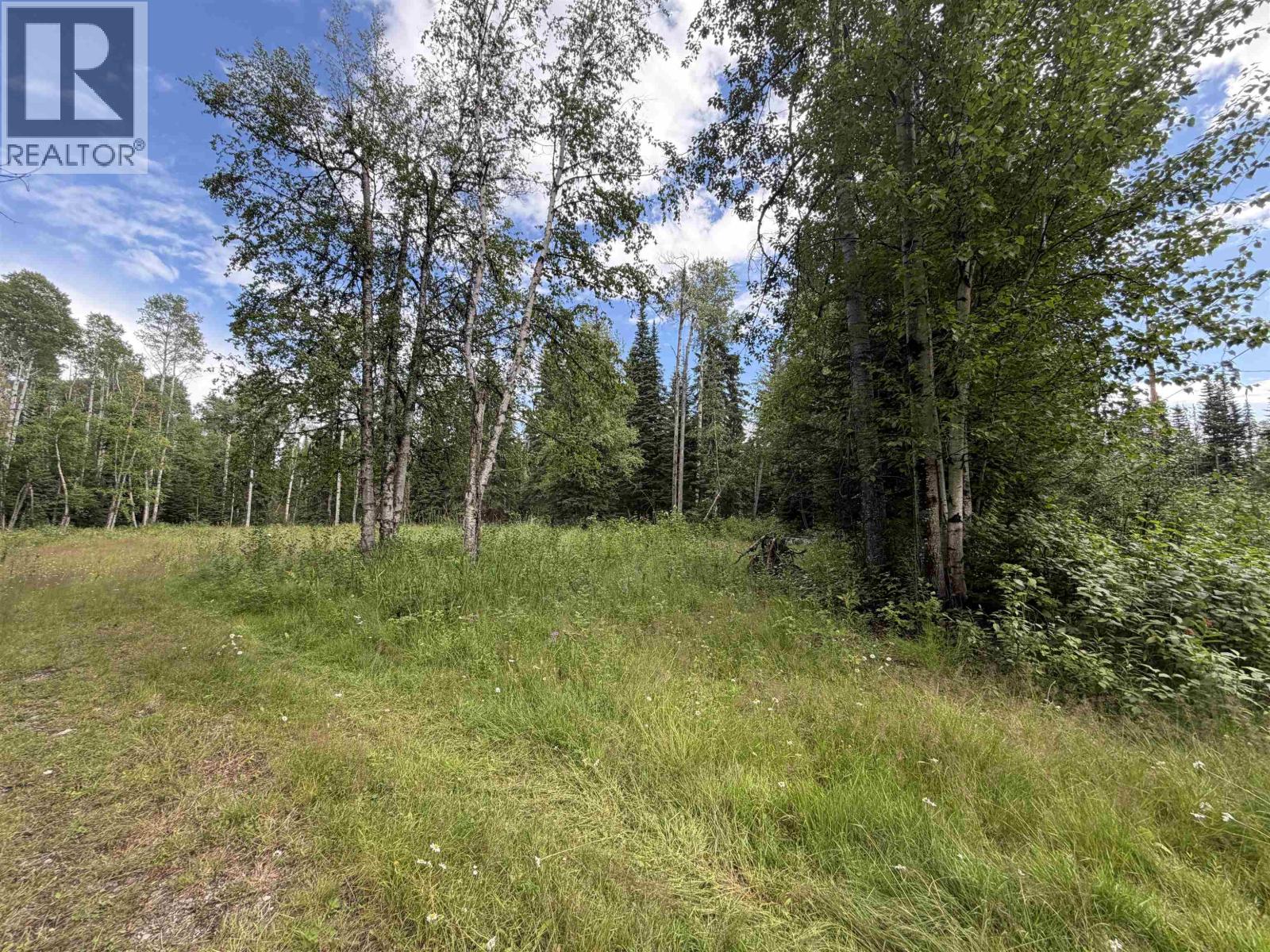 9628 Annegene Road Property Photo 5