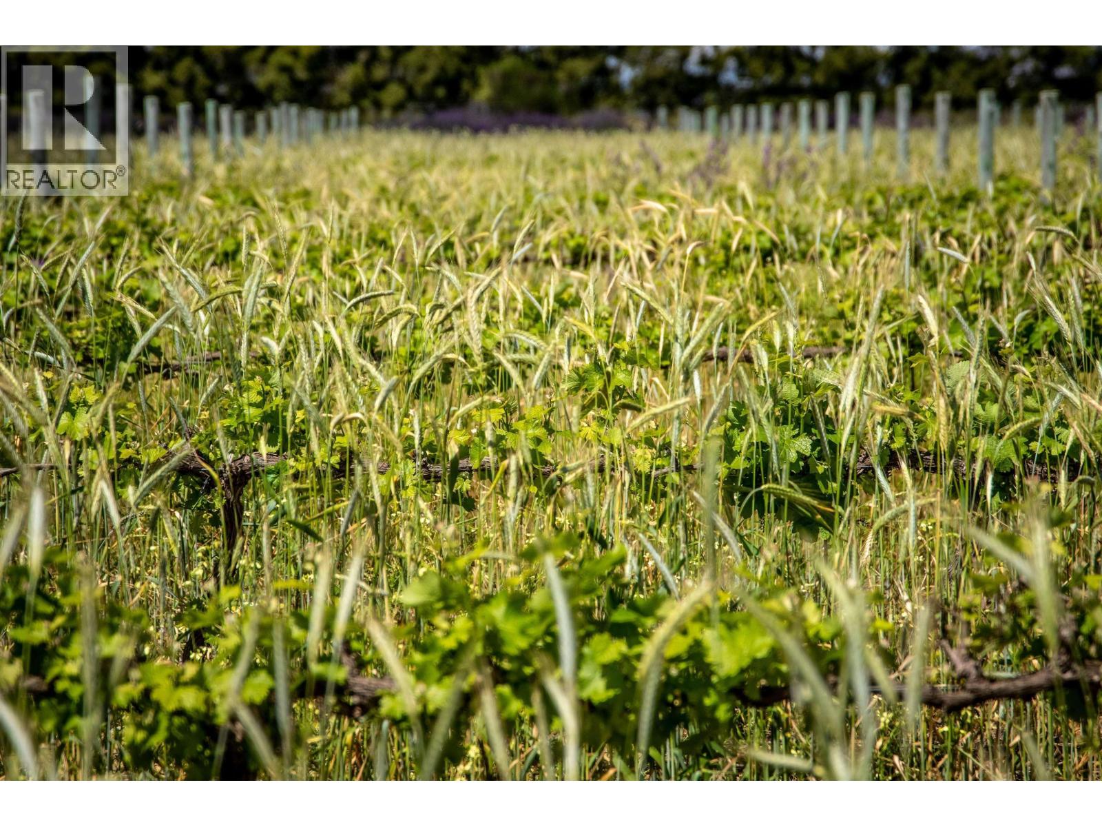 Lot P 10925 248 Street Property Photo 1
