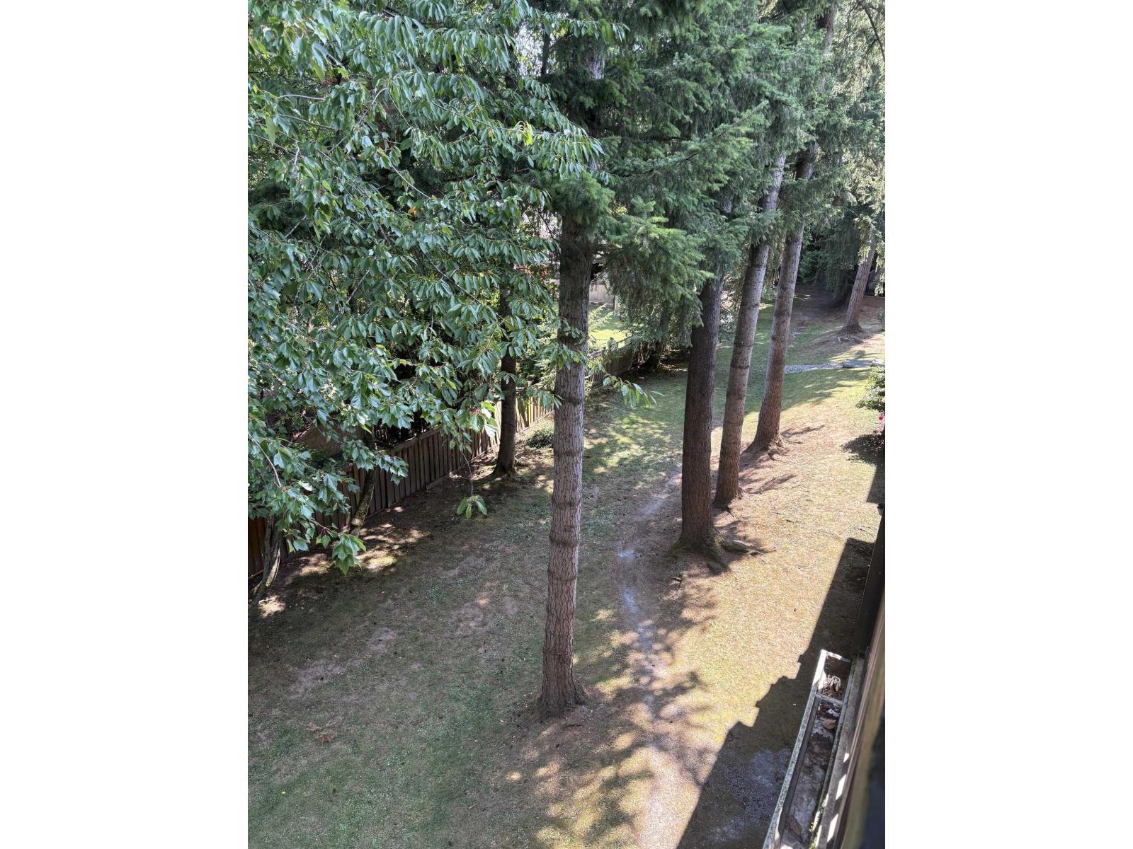 405 10560 154 Street Property Photo 23