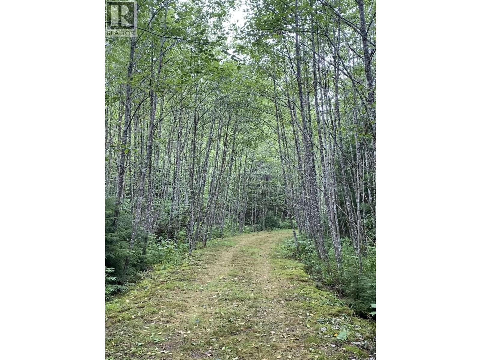 4962 Merkley Road Property Photo 12