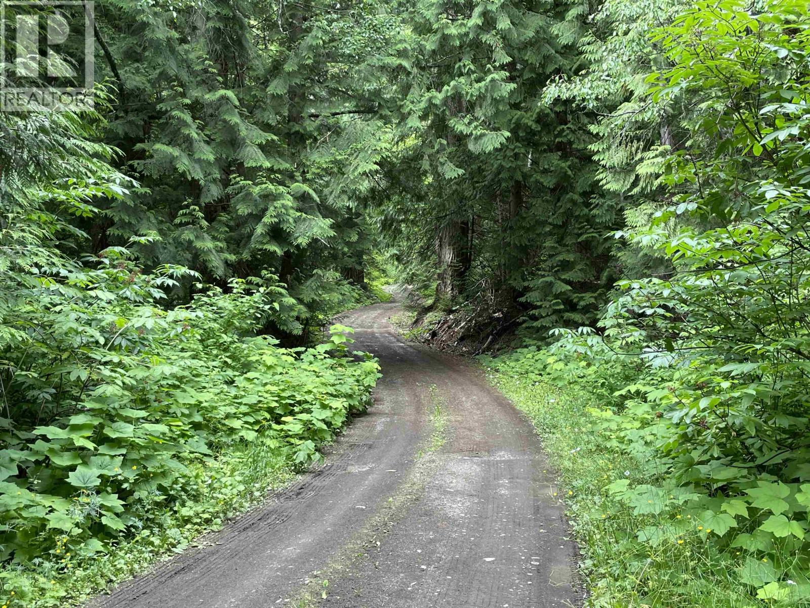 Dl 830 Cedarvale Kitwanga Back Road Property Photo 3