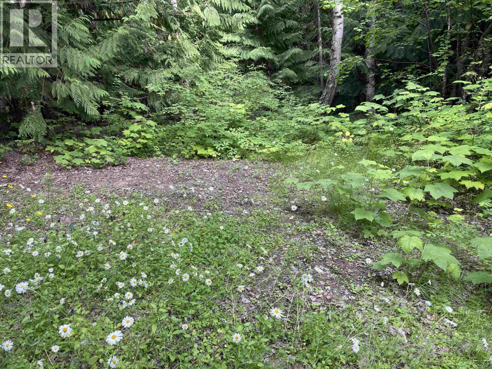 Dl 830 Cedarvale Kitwanga Back Road Property Photo 8