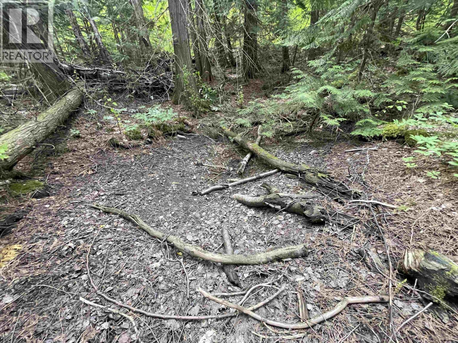 Dl 830 Cedarvale Kitwanga Back Road Property Photo 11