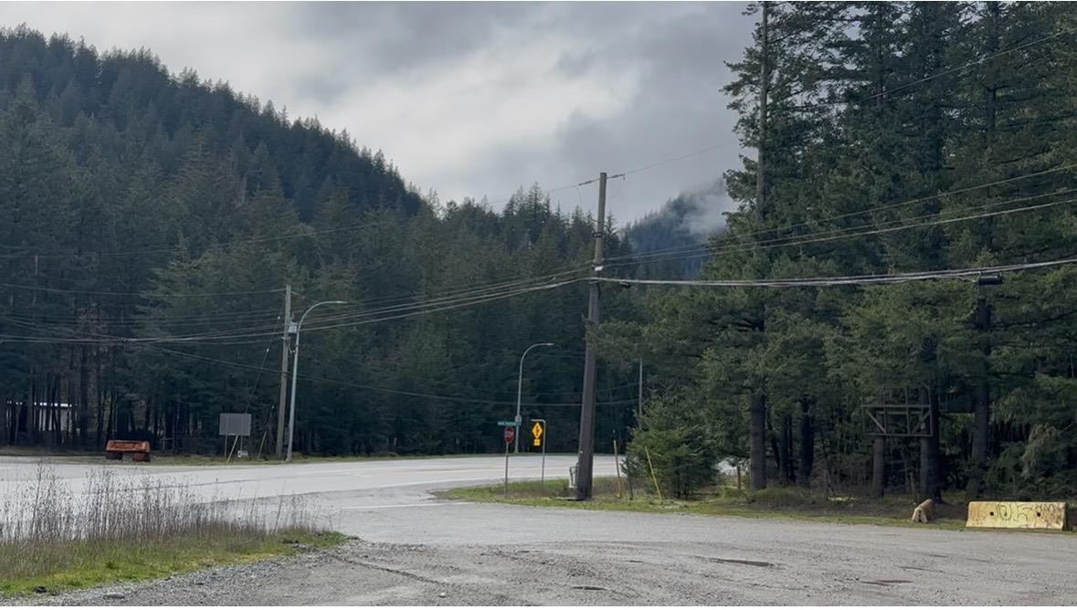 21437 Haig Station Road Property Photo 5