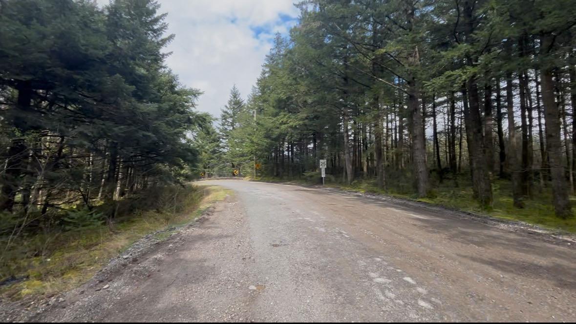 21437 Haig Station Road Property Photo 8