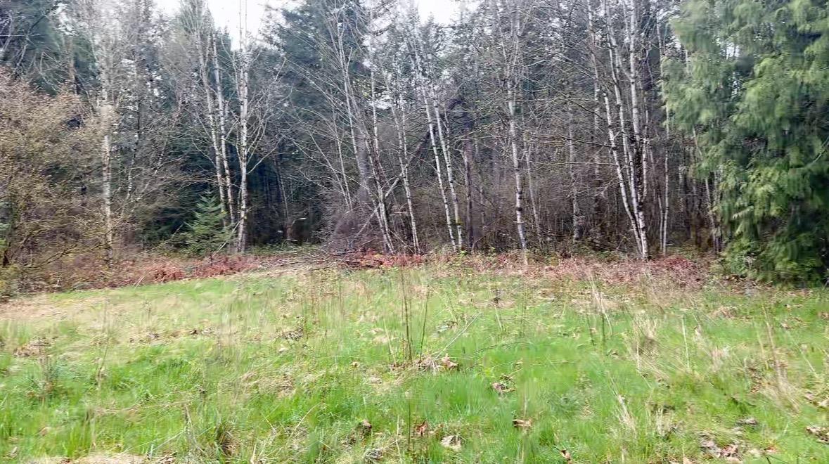 21437 Haig Station Road Property Photo 13