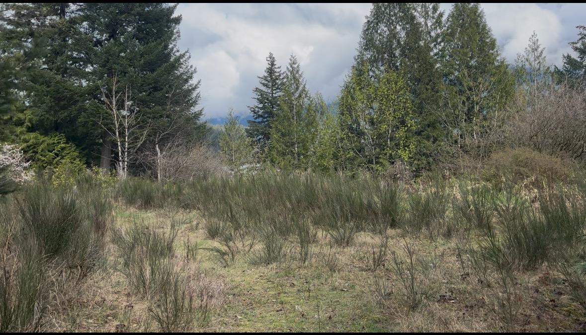 21437 Haig Station Road Property Photo 15