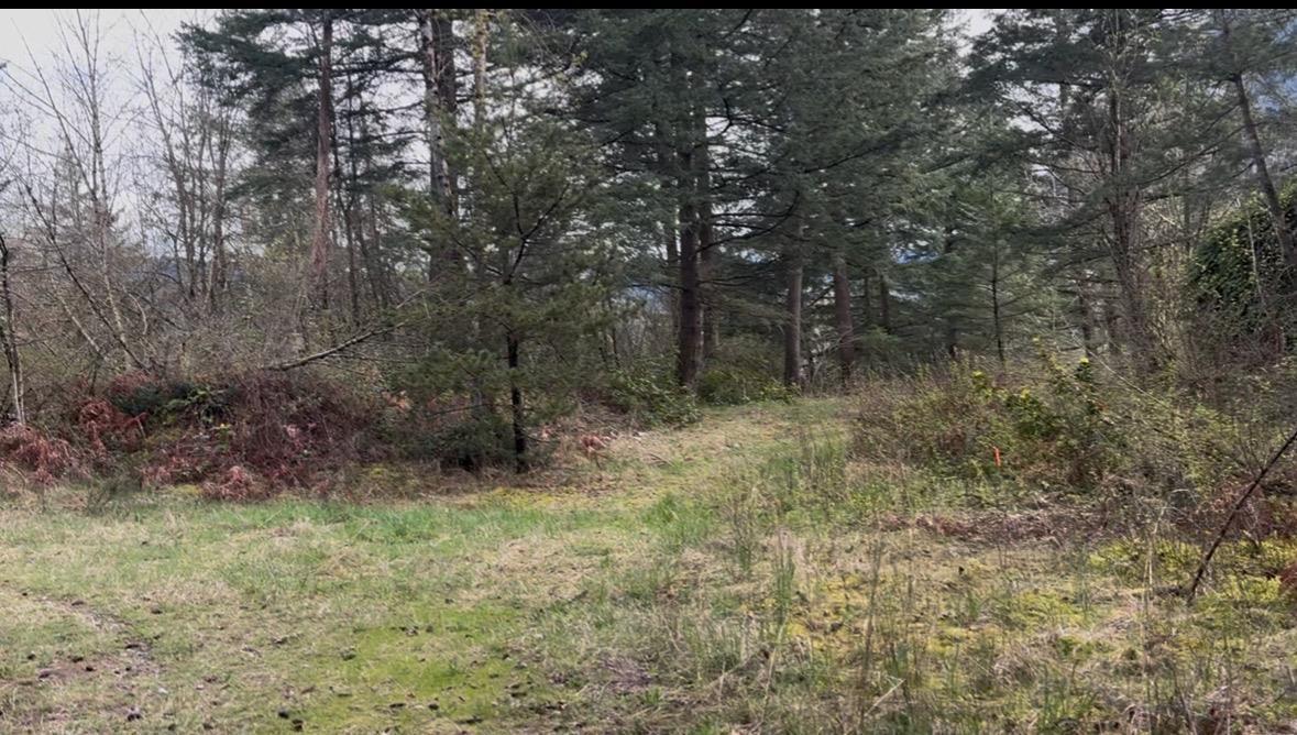 21437 Haig Station Road Property Photo 16