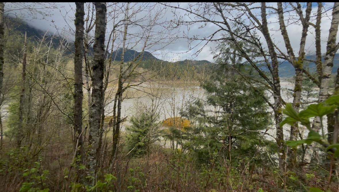 21437 Haig Station Road Property Photo 19