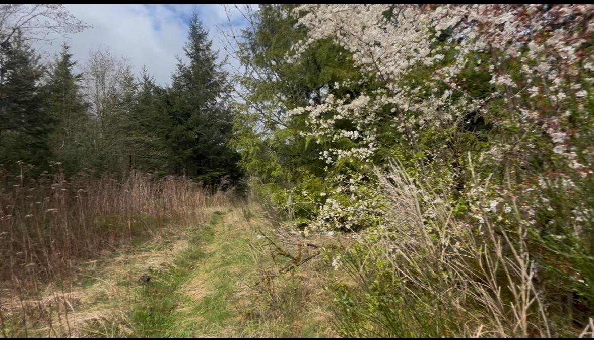 21437 Haig Station Road Property Photo 20