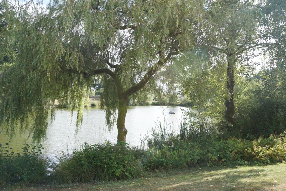13 6211 W Boundary Drive Property Photo 21