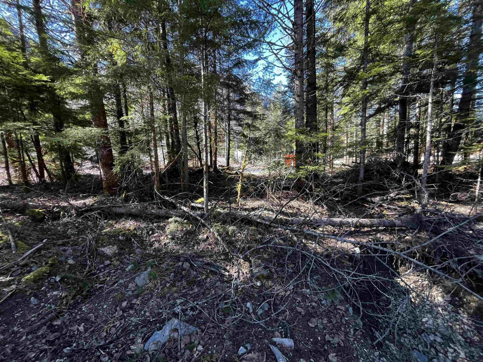 Sve29 Old Hope Princeton Highway Property Photo 8