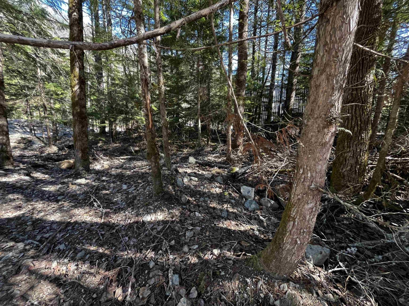 Sve29 Old Hope Princeton Highway Property Photo 10