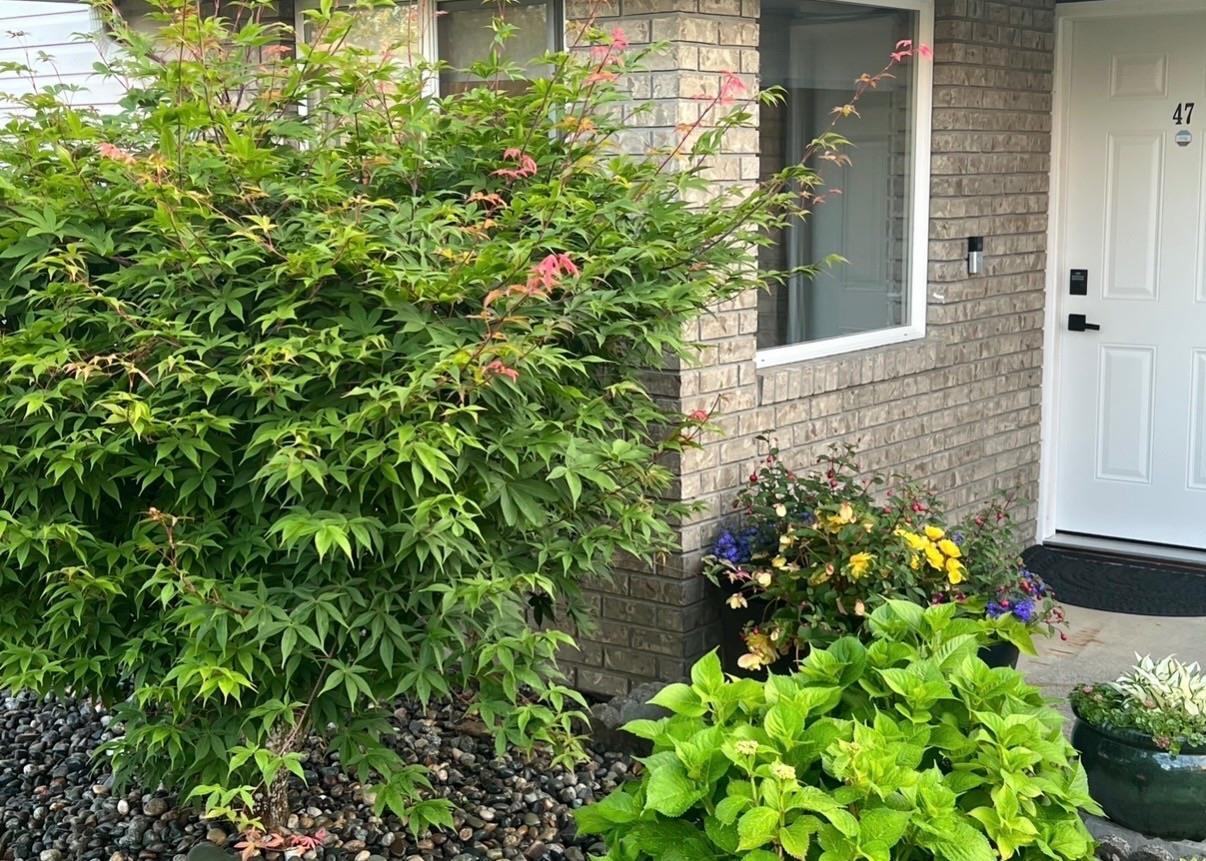 47 15020 66a Avenue Property Photo 17