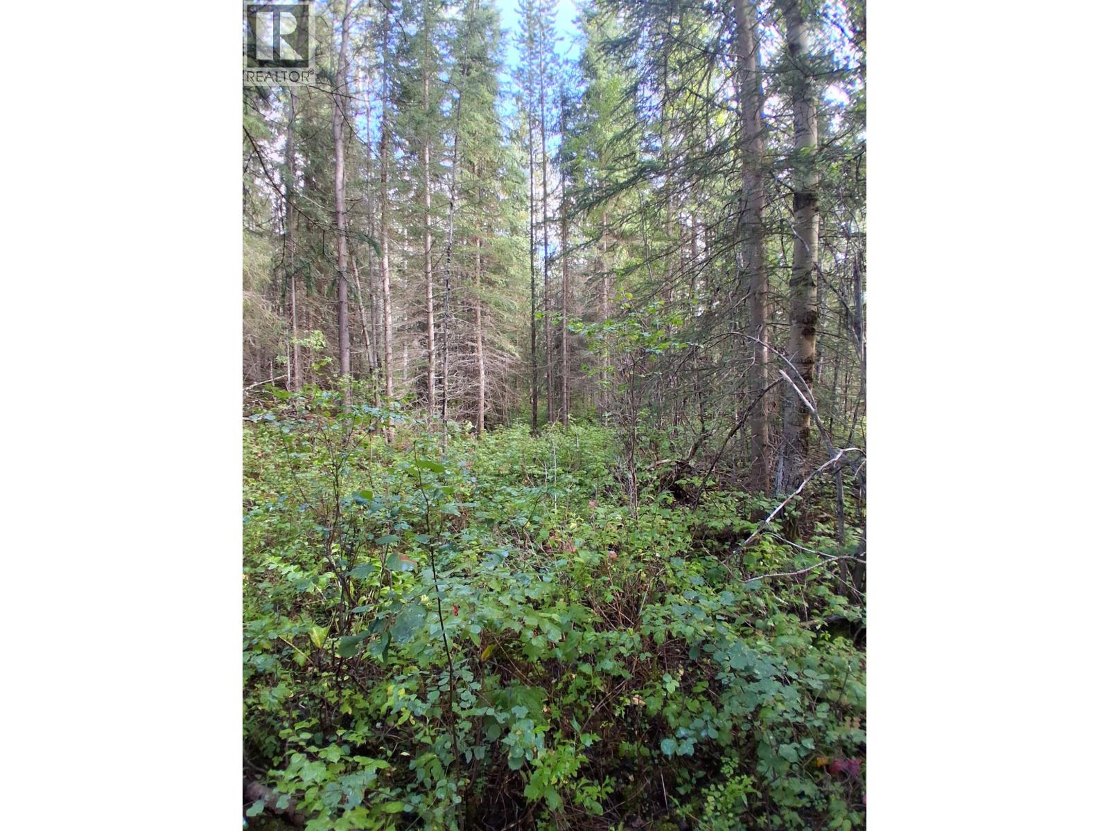 23512 Howells Road Property Photo 4