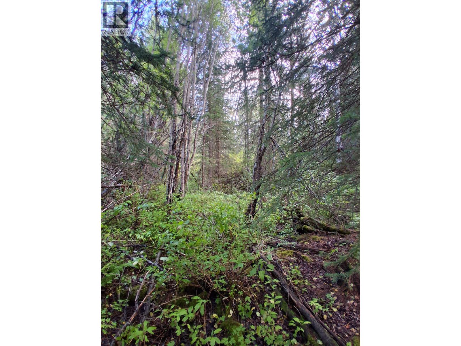 23336 Howells Road Property Photo 4
