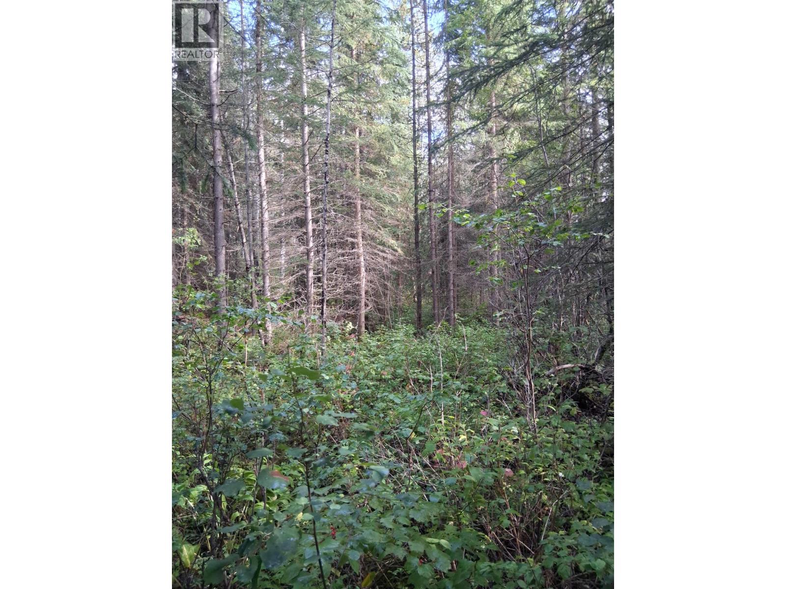 23336 Howells Road Property Photo 5