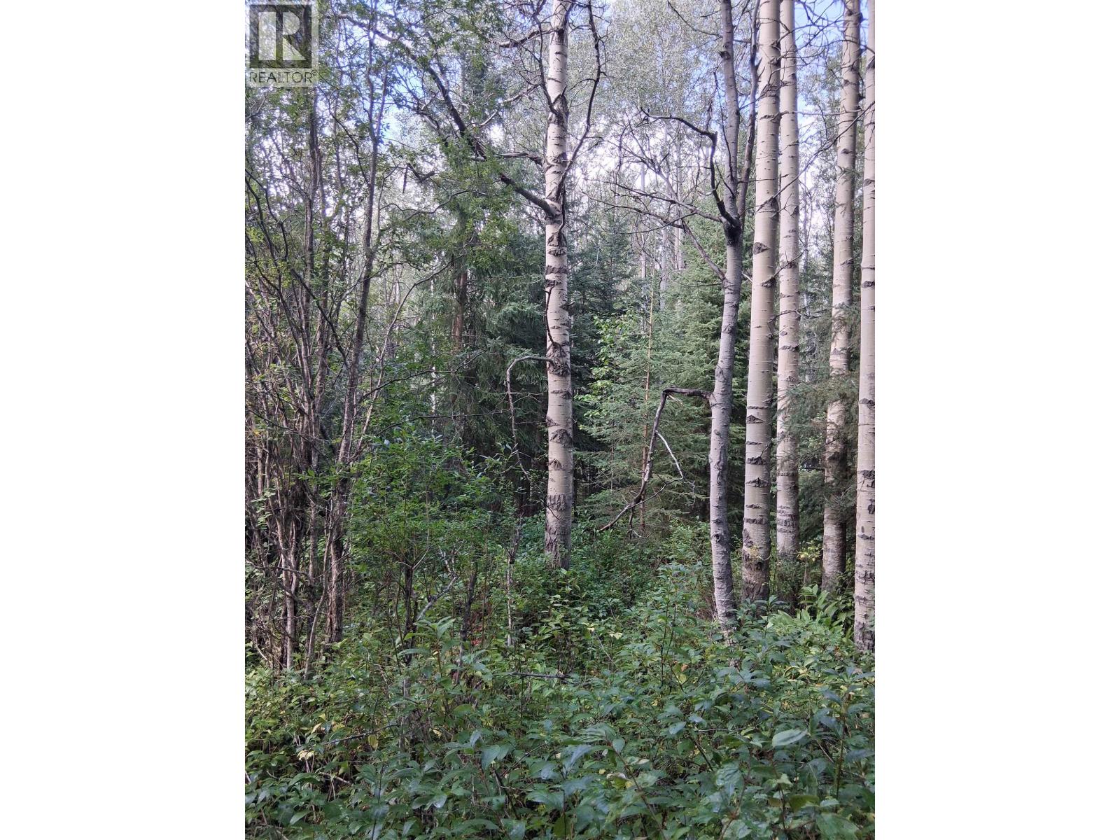 23336 Howells Road Property Photo 6