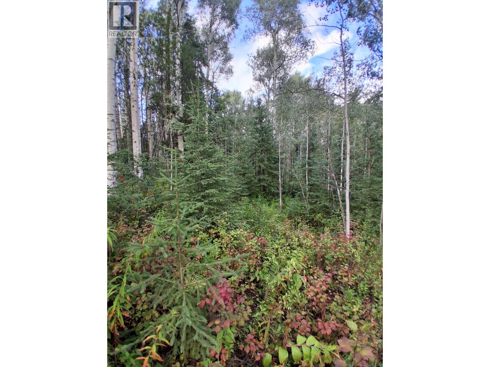 23336 Howells Road Property Photo 7